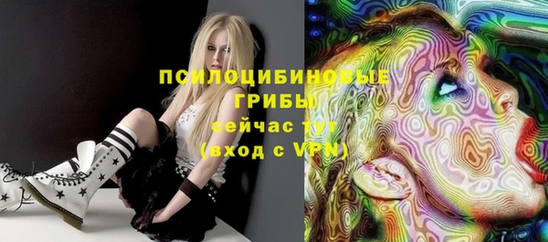 ECSTASY Абаза