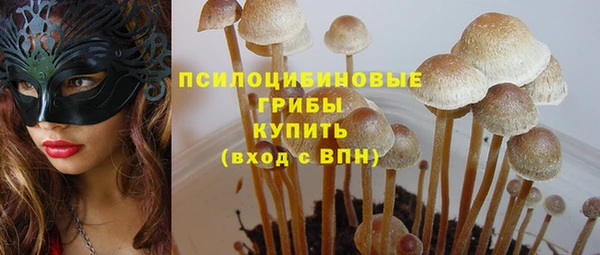 ECSTASY Абаза