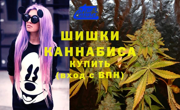 ECSTASY Абаза