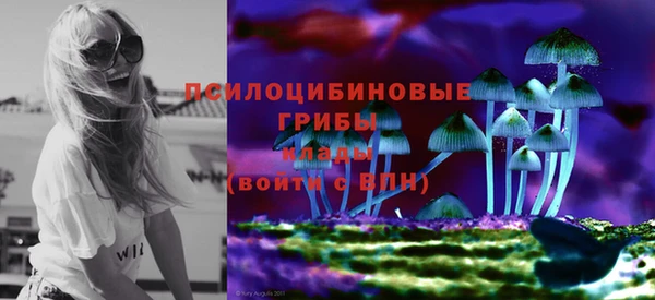 ECSTASY Абаза