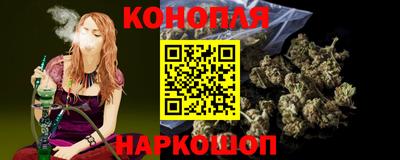 крисы Новодвинск