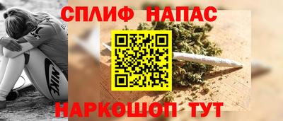 индика Новозыбков