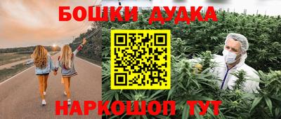 крисы Новодвинск