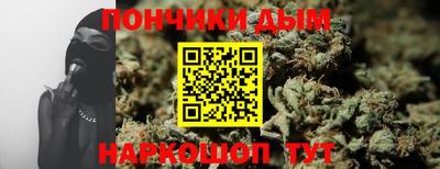 крисы Новодвинск