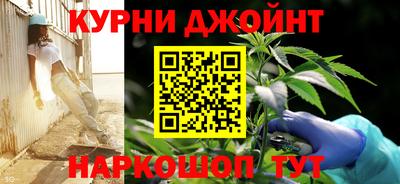 крисы Новодвинск