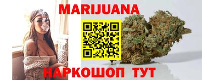 индика Новозыбков