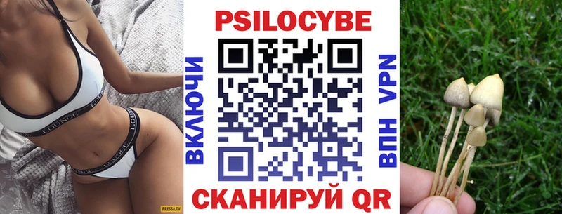Псилоцибиновые грибы прущие грибы  Туапсе 