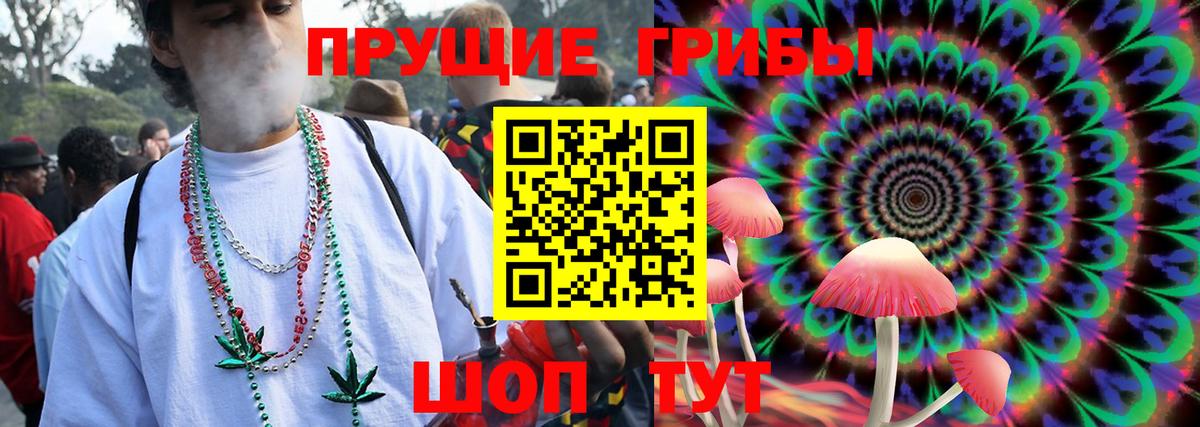 Туапсе  Псилоцибиновые грибы мухоморы  купить наркотик  Вход с VPN 